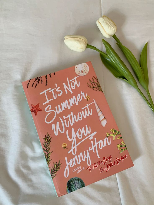 It's Not Summer Without You Book